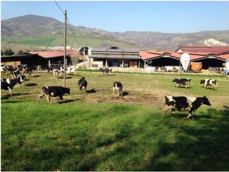 Visite Guidate all'AZIENDA AGRICOLA ANCELLOTTI